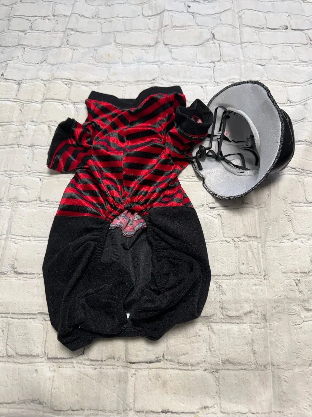 Pet Warrior Dog striped shirt with black pants custome. Halloween costume.